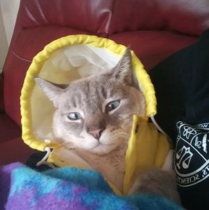 Meet your Posher, Karla